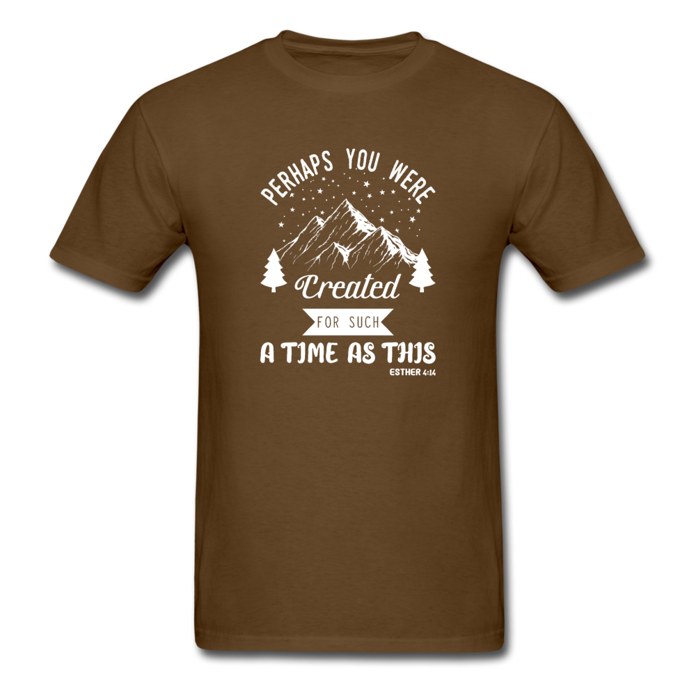 Unisex Classic Created for a Time T-Shirt - brown