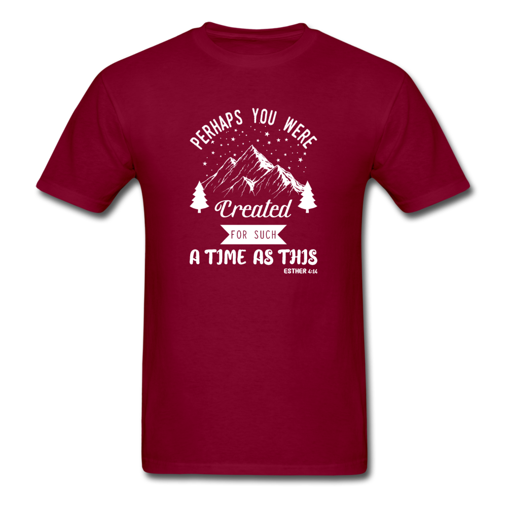 Unisex Classic Created for a Time T-Shirt - burgundy