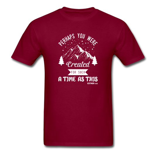 Unisex Classic Created for a Time T-Shirt - burgundy